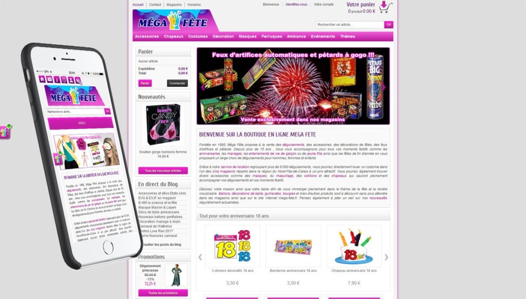 Site web responsive à Lille